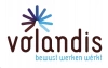 Volandis's logo'