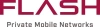 Flash Private Mobile Networks's logo'